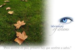 IMG_0358 IMG_0358